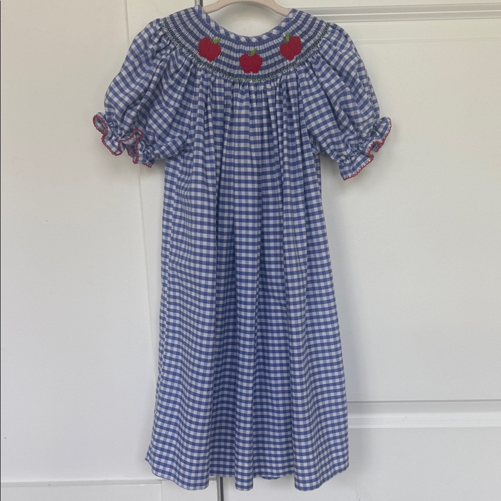 Southern sunshine Blue Gingham Dress with Red Apple 🍎 Embroidery(3)